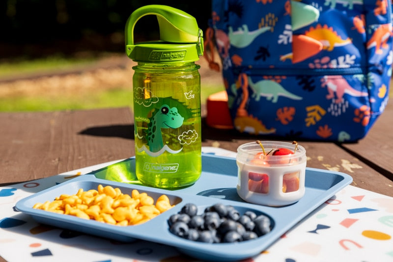 Nalgene product image: 12oz On-The-Fly Kids Lock-Top Bottle with Graphics T3 — 12oz On-The-Fly Kids Lock-Top Bottle with Graphics